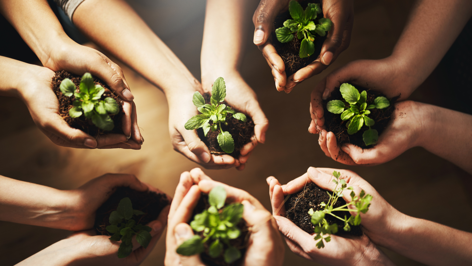 Como se tornar uma Empresa ESG